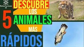⚡VELOCIDAD EXTREMA⚡LOS ANIMALES MÁS RÁPIDOS DE LA TIERRA. CONOCE SUS SECRETOS