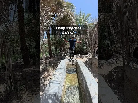 Dive into Adventure: Underwater Parkour with Osmo Action 5 Pro