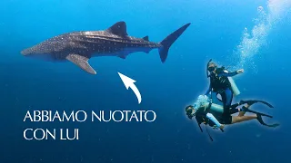 Il nostro primo corso di sub | Quello che devi sapere - Corso Open water