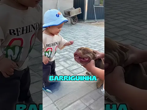 A escolha que mudou sua vida 🐕