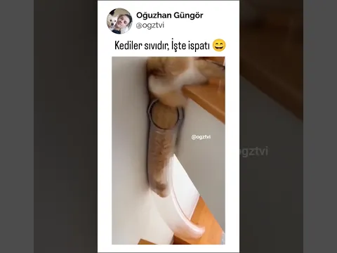 Su gibi aktı