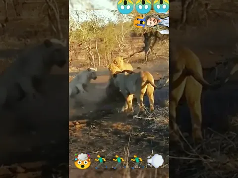 Please 😱💔 Let me eat  😭 🦛 wow