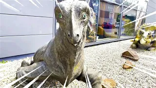 Dinosaurs Playground for Kids | Adventures with Sara Sofia at Indoor Dino Park