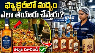 ఫ్యాక్టరీలో మద్యం ఎలా తయారు చేస్తారు?Amazing Liquor Factory Process Revealed | Inside Liquor Factory