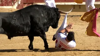 🏆 FINAL CAMPEONATO ESPAÑA RECORTES TOROS - CASTELLON 2022