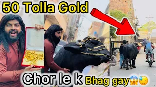 Big loss😰😰😓gold chori hogya😭katta ka bht nuksan hogya😓