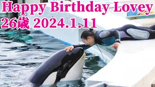 ラビー26歳お誕生日おめでとう!! 鴨川シーワールド シャチ kamogawaseaworld orca killerwhale