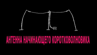 Антенна начинающего коротковолновика. Опытные обзавидуются