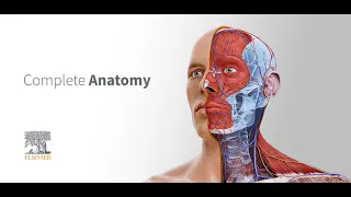 Introducing Complete Anatomy 2022.​Two iconic anatomy brands are working together.