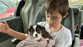 Pup-Date