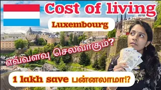Luxembourg's Truth: Salary, Expenses, and Savings Revealed