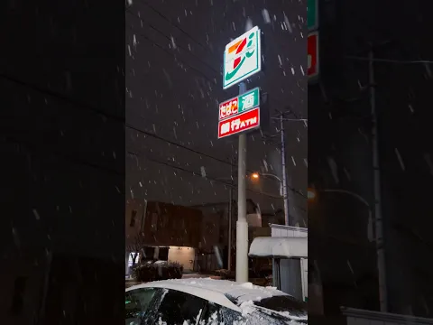 Snowy night⛄️🇯🇵 #japan #snowfall