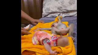 Daddy wear diapers and clothes for Baby Monkey Bryyan and Icy