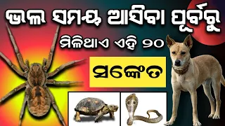 ଭଲ ସମୟ ଆସିବା ପୂର୍ବରୁ ମିଳିଥାଏ ଏହି ( ୨୫ ସଂକେତ ) Odia Bayagita, Anuchinta#Sadhubani#Maalaxmi