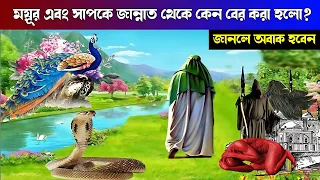 ময়ূর ও সাপকে জান্নাত থেকে কেন বের করা হলো ? জানলে অবাক হবেন । আদম আঃ । #peacock #snake #adam