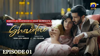 Shaidai Episode 01 [Eng Sub] Feroze Khan - Sahar Hashmi | 22nd April 2026 - Drama Bazaar