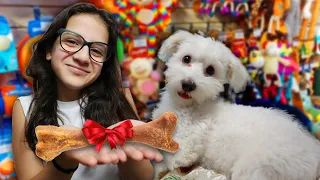 A KISKUTYÁNK KARÁCSONYA!🐶🎄(mi lett a neve...?)