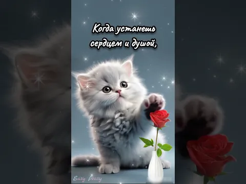 🌞С ДОБРЫМ УТРОМ!💗ЧУДЕСНОГО ДНЯ! Красивая музыкальная открытка