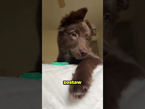 Zrobiła z ostatniego zdjęcia córki coś wyjątkowego… 🥹