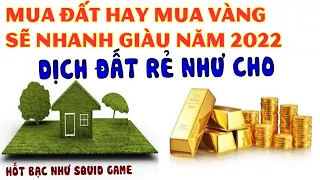 Dịch đất rẻ như cho mua vàng hay mua đất cho năm 2022 thì sẽ hốt bạc như trò chơi con mực