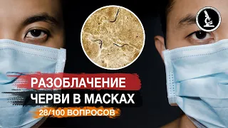 ЧЕРВИ В МАСКАХ, В ЕДЕ, В ТЕСТАХ. МОРГЕЛЛОНЫ. РАЗОБЛАЧЕНИЕ 1