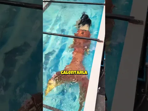 Es difícil ser una sirenа