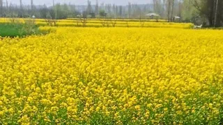 Fashion point is live natural scenery
