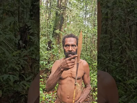 Survival Arrows 🏹😯 #hunting #korowai #jungle #nature #papua