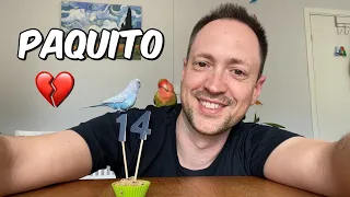 Paquito cumple 14 a pesar de su enfermedad: ya no puede volar
