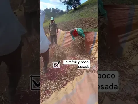 Máquina Aporreadora de Frijoles