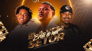 ELA VEM, BROTA NO MEU SETOR - MC RODRIGO DO CN ( DJ ZIGAO E FP DO TREM BALA )