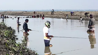 নদীতে টেংরা ও জিওল মাছ ধরার সেরা মেডিসিন | Tangra Fishing Bait