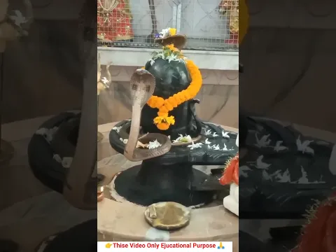 मंदिर मस्जिद और सांप की सच्ची कहानी 🤯🤯 ~mini wood toy- woodworking art skill/#shorts