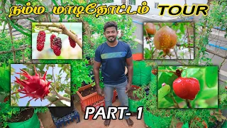 மாடி தோட்டத்தில்  ஆடிப்பட்டத்து காய்கறிகள்  மற்றும் பழங்கள்  | GARDEN TOUR PART-1 | NURSERY