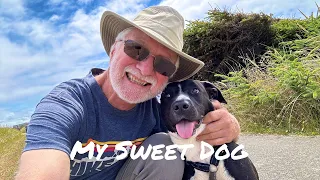 An introduction for my dog, Summit!