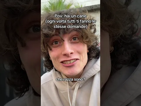 POV: hai un cane #perte #neiperte  #divertente #cane #seltsam