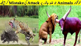 Jab Shikari Ghalat Janwar Sy Panga Lay Bethay II Animals Messing With Wrong Opponents - Part 2
