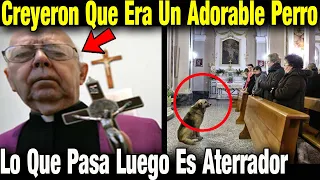 Durante Misa Entró Un Perro Y Les Pareció Adorable. Luego La Risa Se Vuelve Lágrimas Con Lo Que Pasó