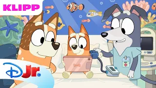 💙 En historie til Bingo | Bluey | Disney Junior Norge