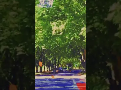 Вот и Осень🍁, господа! Вот и Осень🍁🍁!! #mgconcertsee