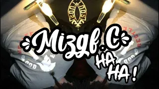 Hamster Dance Song ( Mizgf.C Remix )