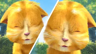 Talking Ginger