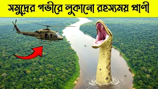 সমুদ্রের তলদেশে লুকানো রহস্যময় ও অদ্ভুত প্রাণীদের জগৎ || Mysterious Sea Creatures Await ||