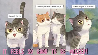 It Feels So Good To Be Missed! #animation #shorts #cat