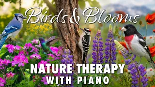Birds and Blooms - Spectacular Spring colors, Songbirds in 4K. Natures ANTI-Depressant Therapy