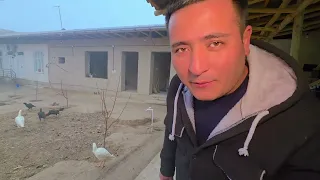 ОХУНОВ ХОНАДОНИДАН ОЛИБ КЕЛГАН НЕМИС ДАКАНИМНИ СОТАЙМИКИН? ПАРВОЗЛАР УЧУН УДАР ЯНГИЛИК. 