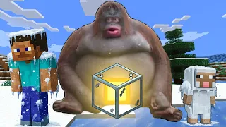 Meme CATS and DOGS vs. MONKEYS in Minecraft!: A Giant Monkey STOLE the SUN and an ICE AGE began!