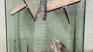 Instructions to make a mousetrap at home from scrap cardboard