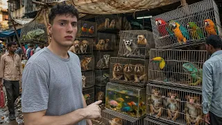 J’INFILTRE un MARCHÉ ILLÉG*L D’ANIMAUX