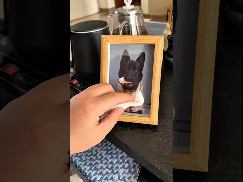This Dog Surprised Its Owner 🐶❤️
